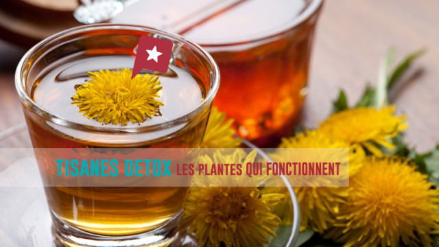 Détox : les plantes qui marchent vraiment
