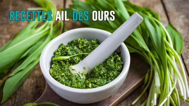 L'ail des ours : 3 recettes express