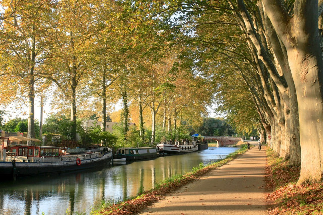 Le canal du midi en bateau de location pour des vacances 100 % nature