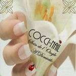 Coccinail