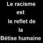 Louloute15