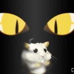Pikaboo