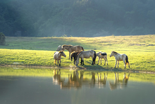 Les plus belles destinations de vacances nature et sport en France