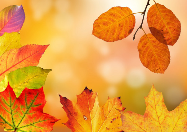  Adieu été, bonjour couleurs d'automne !