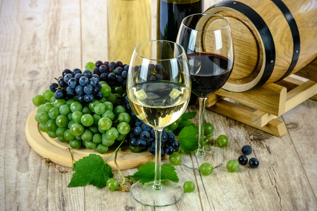 Voyage œnologique en automne : les trésors des vignobles français