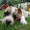 Loulou59990
