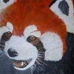 Redpanda66