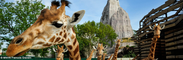 Dans la peau d'un explorateur en herbe avec le Parc Zoologique de Paris