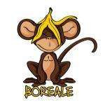 Boreale
