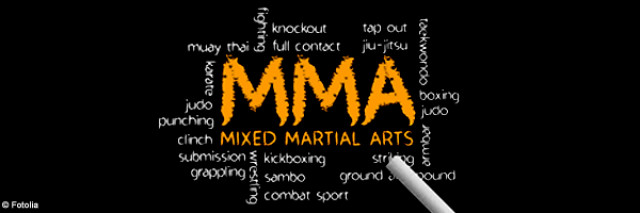 Le "Mixed Martial Arts" : Mode d’emploi