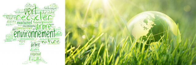 Tapis vert pour la planète !