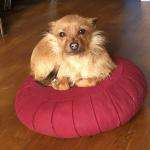 Sofie