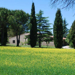 Balades autour d'Aix en Provence