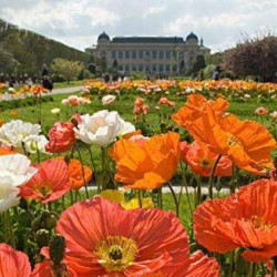 Les plus beaux jardins Parisiens