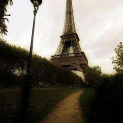 Bonnes adresses parisiennes
