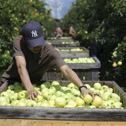 Producteurs locaux Vaucluse/ Bouches-du-Rhône