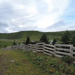 Sentiers de randonnées et de découverte dans le Cantal