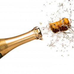 Les producteurs de champagne en Champagne et Ardennes