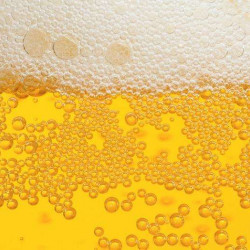 Les bars à bière à Lyon