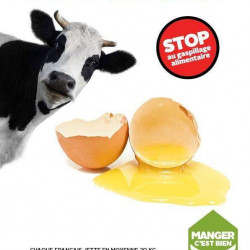 Halte au gaspillage alimentaire !