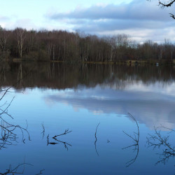 La Sologne des Etangs