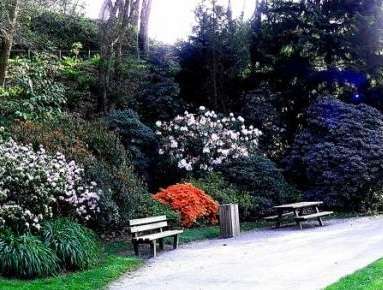 conservatoire-botanique-brest vacances : parc botanique de Brest