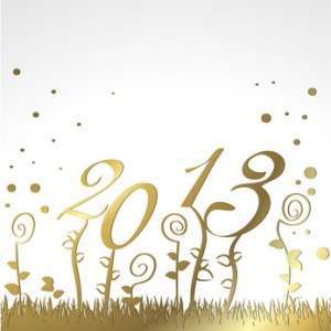bonne annee 2013