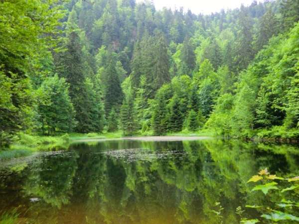 randonnee-du-lac-des-corbeaux-la-bresse