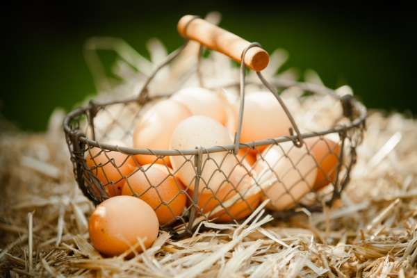 Close-up of fresh brown eggs in a metallic basket on straw