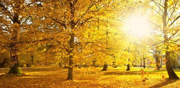 automne