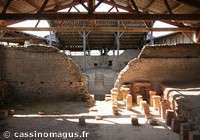Cassinomagus_carticle
