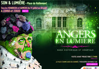 Angers en lumière 200x140