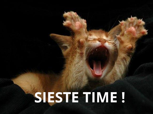 astuces sieste