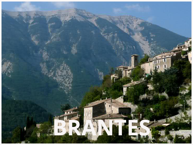 BRANTES - 640 x 480