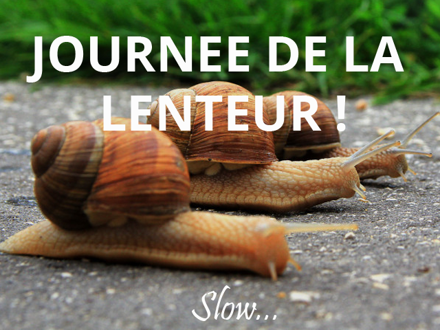 Journée de la lenteur 640 x 480