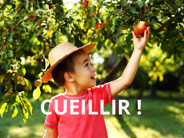 Préserver l'environnement : Cueillir 