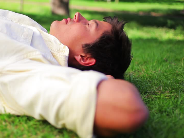canicule : Dormir sur la pelouse - 640 x 480