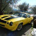 Bobeck31