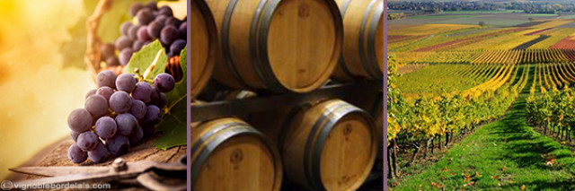Tour de France des bons vins 
