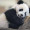 Panda1398
