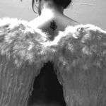 Alice4136