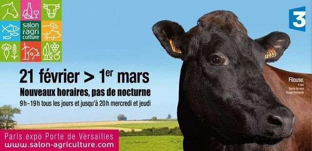 Salon de l’Agriculture : 4 bonnes raisons d’y aller !