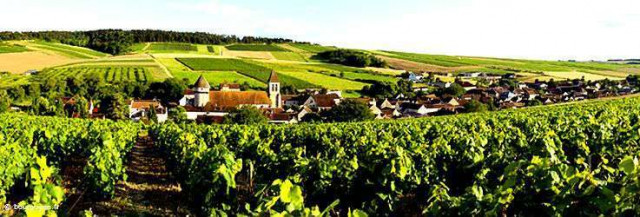 Quatre bonnes raisons de visiter la Bourgogne
