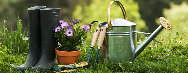 5 conseils pour jardiner malin