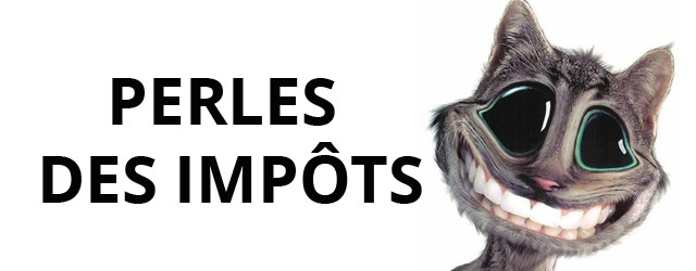 Top 10 des perles des impôts