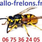 Allofrelons