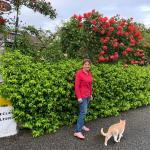 Jardinfleuri