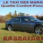 Taxidesmar