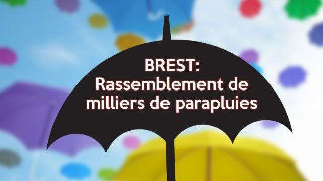 Les parapluies en folie à Brest
