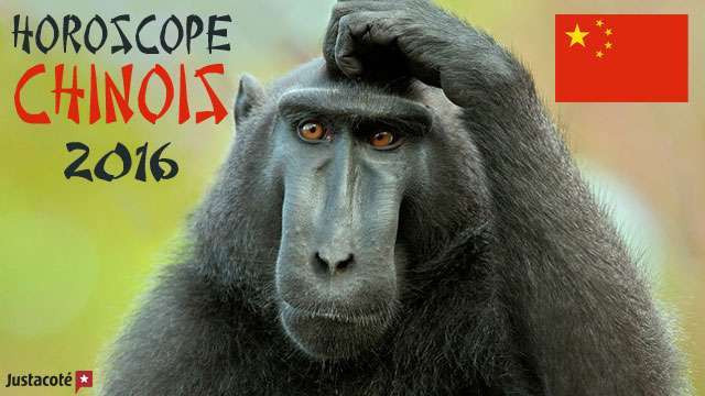 L’horoscope chinois 2016 en 10 points favorables